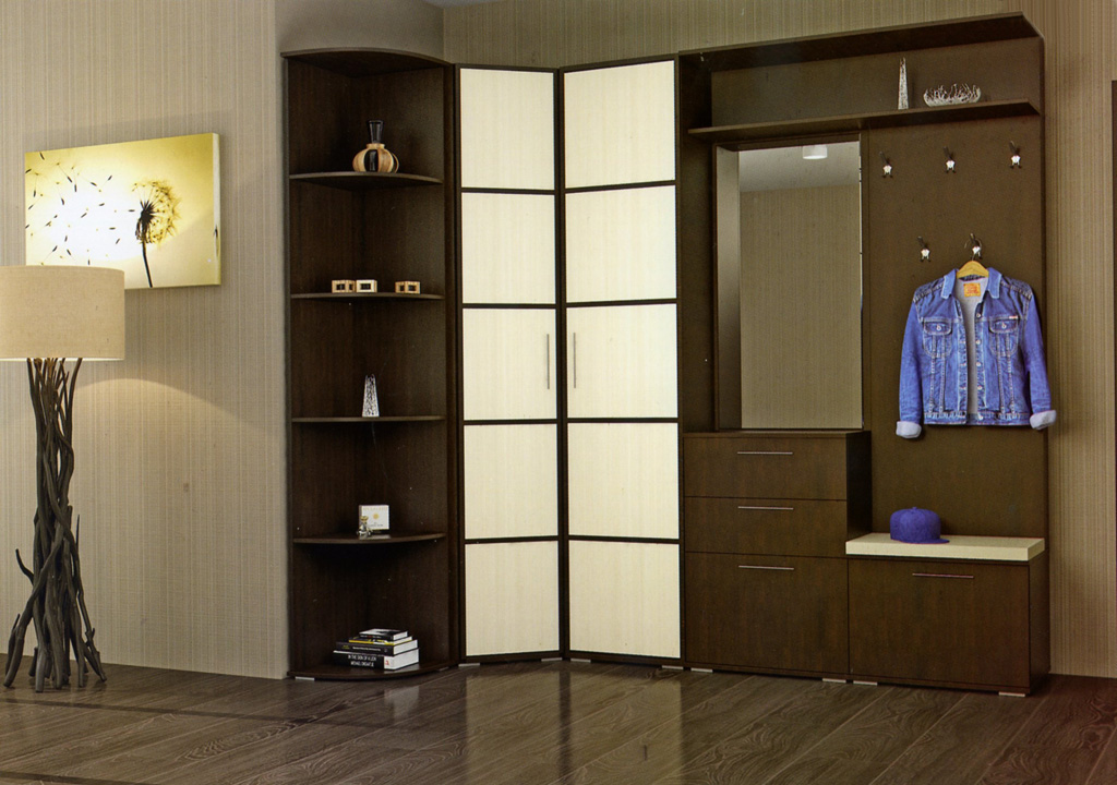 прихожая в Зеленограде Бристоль