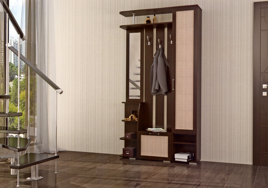 прихожая в Зеленограде Ксения