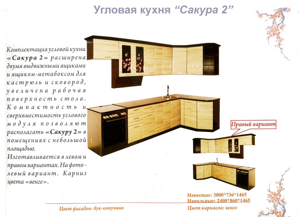 Кухня сакура